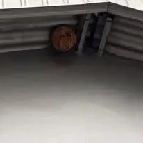 Halte Guêpes 21 (30)webp