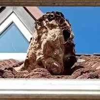 Halte Guêpes 21 (51)webp